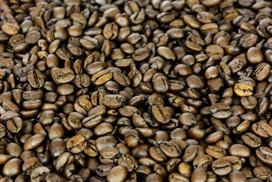 Colombia Huila Las Margaritas