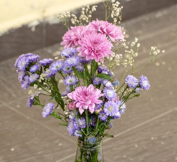 Wild Posy