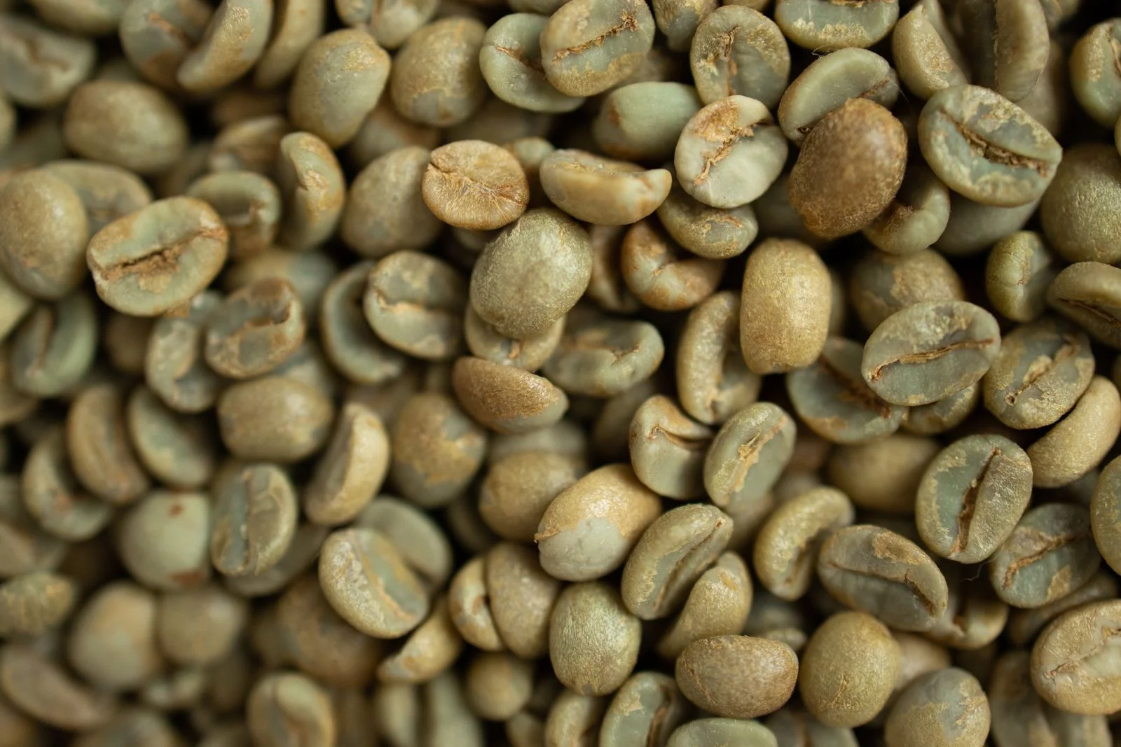 Grüne Kaffeebohnen vor der Röstung
