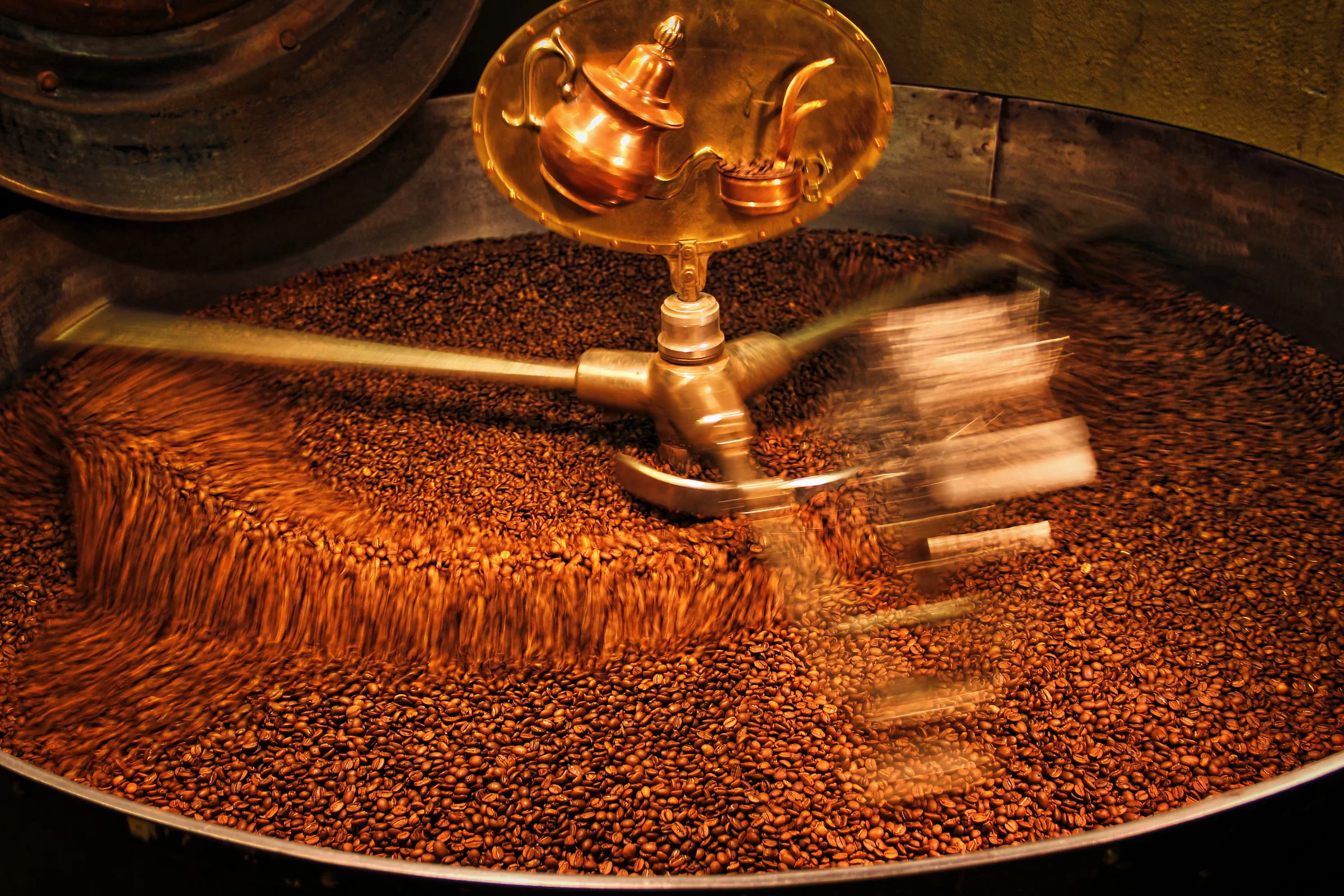 Frisch geröstete Kaffeebohnen, die im Kühlsieb des Rösters umgerührt werden