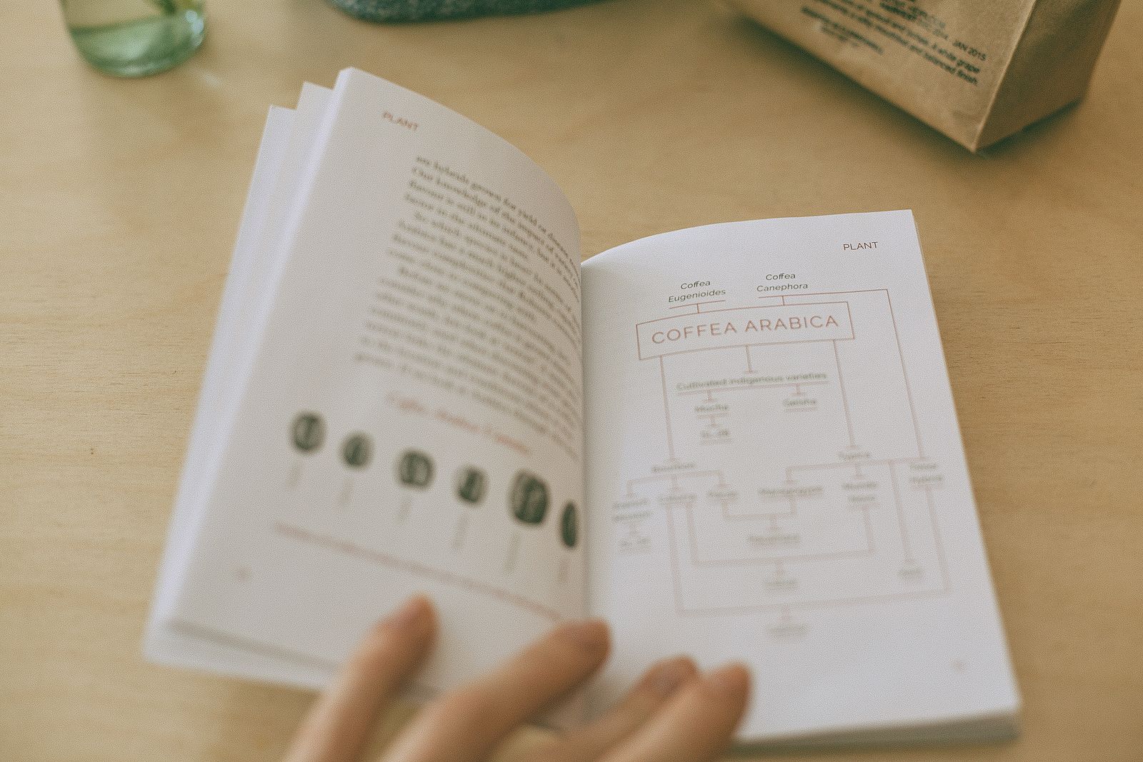 Livre numérique « 30 recettes de café »